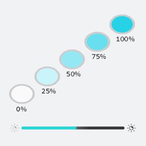 Adjustable Brightness