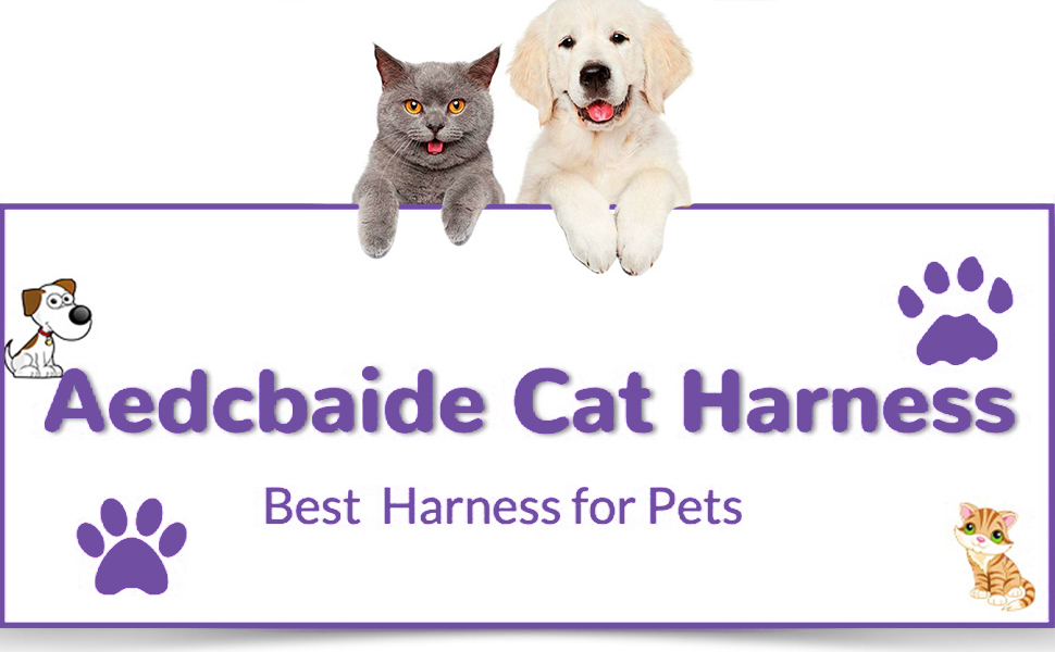 Cat Harness,Soft Dog Harness Small Dog with with 5m/16.4 Ft 