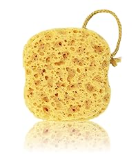 Sponge