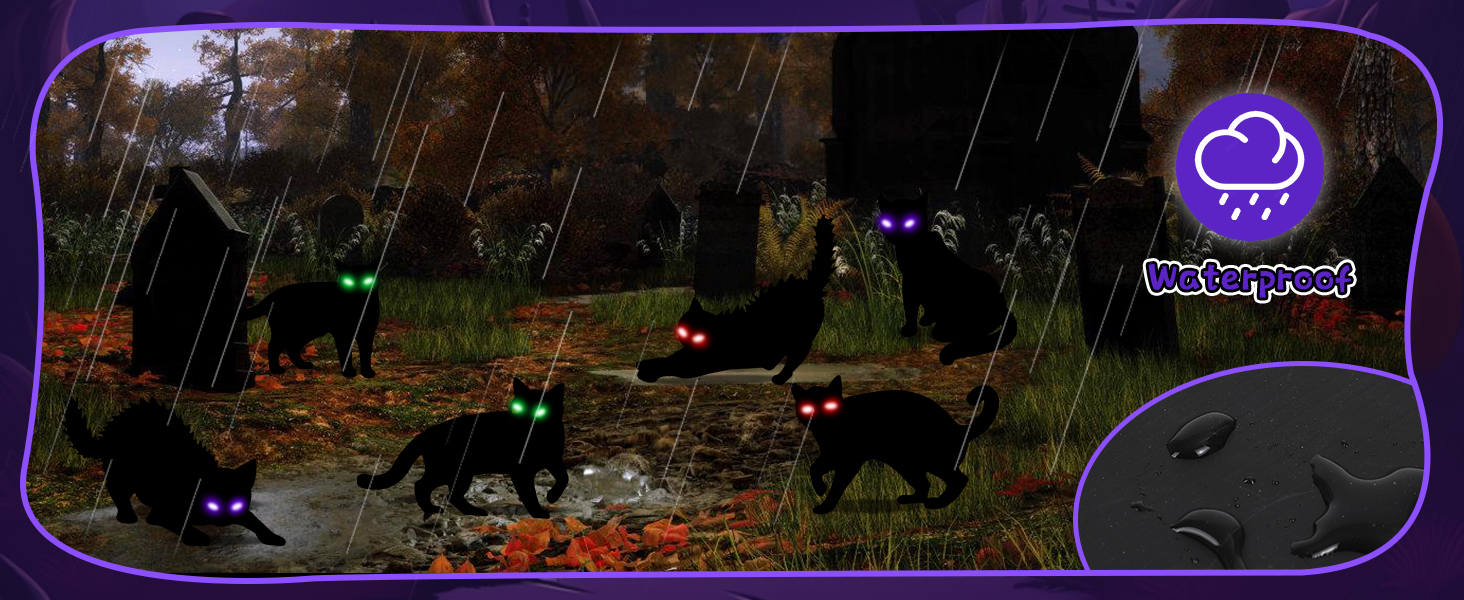 Built to Brave the Elements