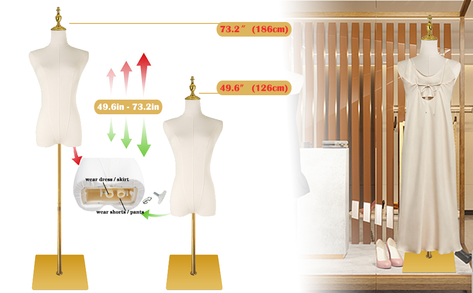 adjustable female mannequin