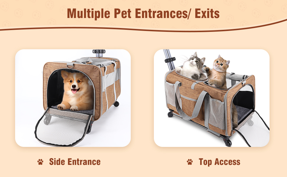 multiple pet entrances
