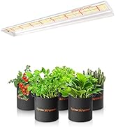 蛍光灯・電球 spiderfarmer SF-300 x 2 Amazon.com : Spider Farmer SF300 LED Grow Lights Sunlike