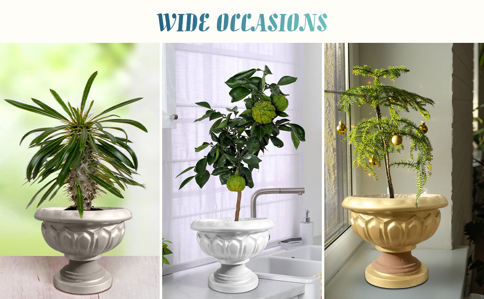 Large manufacture image 3