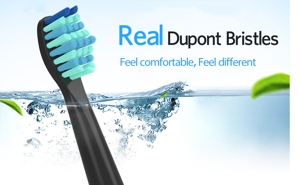 Relax Artist 10 Pack Toothbrush Heads Compatible with Fairywill