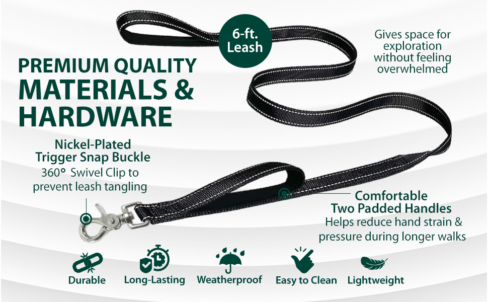 dog leash large dogs