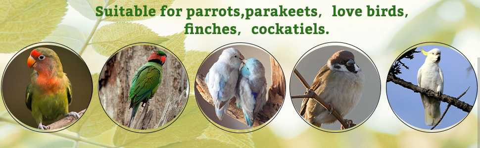 Parakeet Paw Grinding Stick Cage Accessories Exercise Toy for Cockatiels Budgies Lovebirds Conures