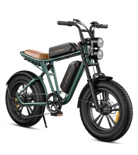 ebike
