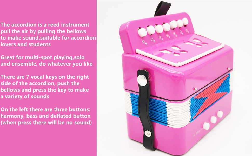 Accordion,Button Accordion 10 Keys Control Accordion
