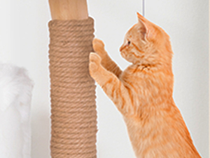 modern cat tree tower for large cats
