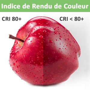 Lot De 10 Ampoules LED G4 12 V 2 W Blanc Froid 6000 K 200 Lm Couvercle De Cuisine Pour Camping-car Non Dimmable 15 ampoule g4 led 2w