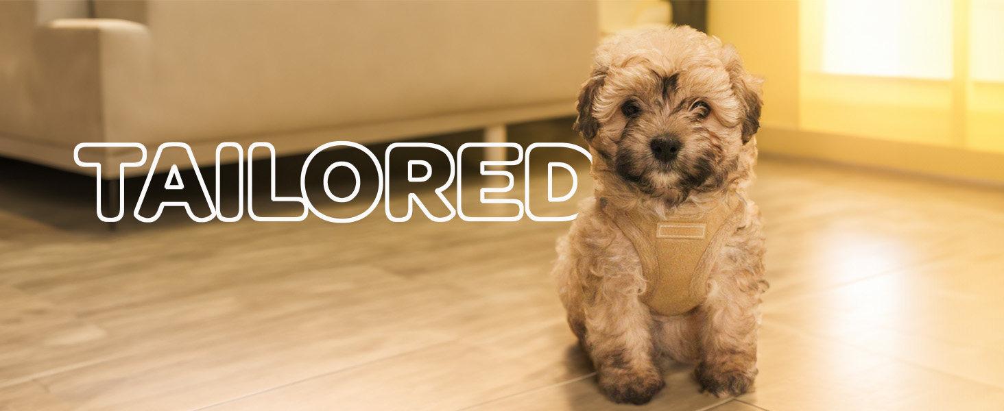 front hook harness for dogs no pull