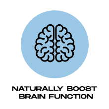 Mushroom Coffee Instant with 10 Mushrooms - 15 Pack with Reishi, Lion's Mane, Chaga, Turkey Tail, Cordyceps Mushrooms - 14 mushroom coffee lions mane cordyceps turkey tail shiitake maitake