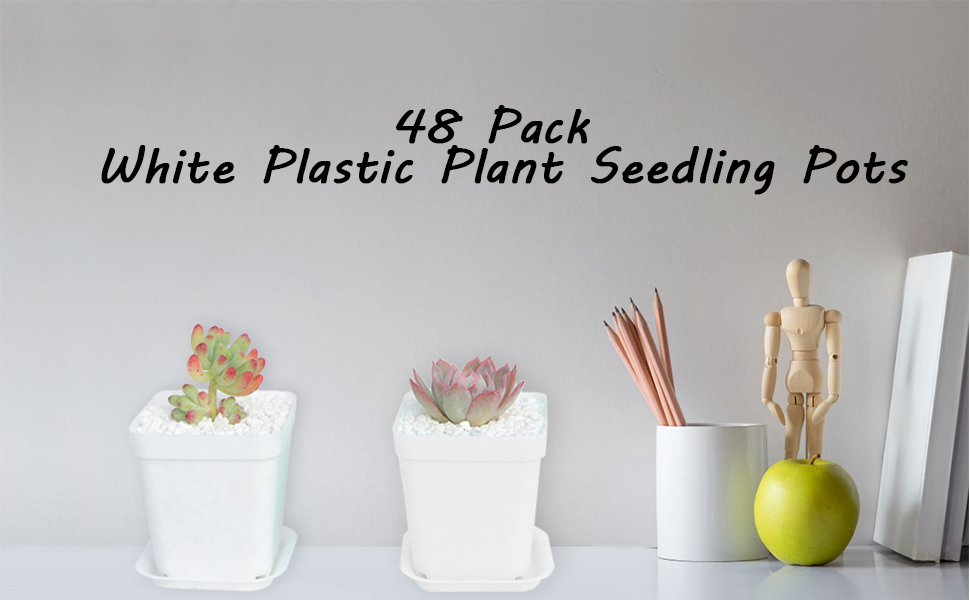 Plant Seeding Pots with Drainage Holes