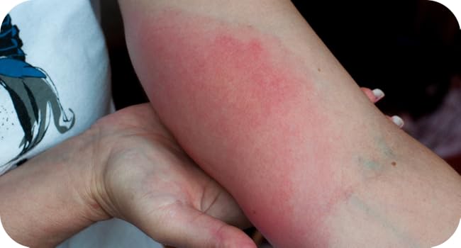 Large manufacture image 5