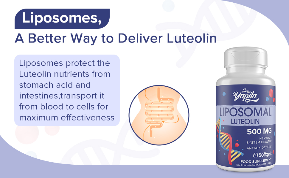 Liposomal Luteolin Capsules 500mg (2 Pack), Maximum Absorption, High