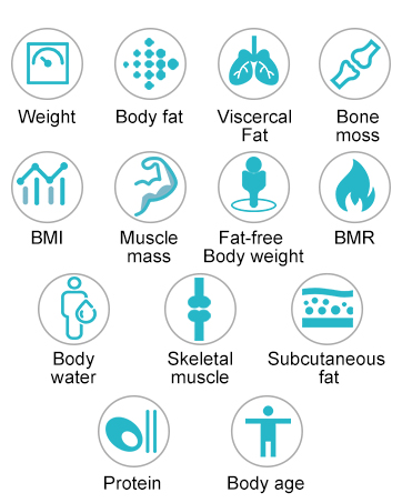 smart body fat scale