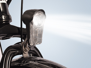 ebike