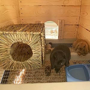 Smworldnet027 Animal Bunny Hamster Chinchillas Guinea Pet Hay Bed