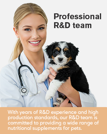 Professional R&D Team