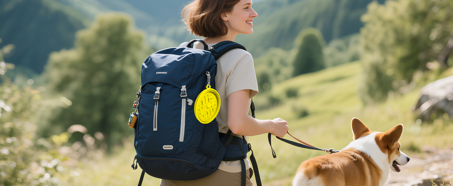 collapsible dog bowls