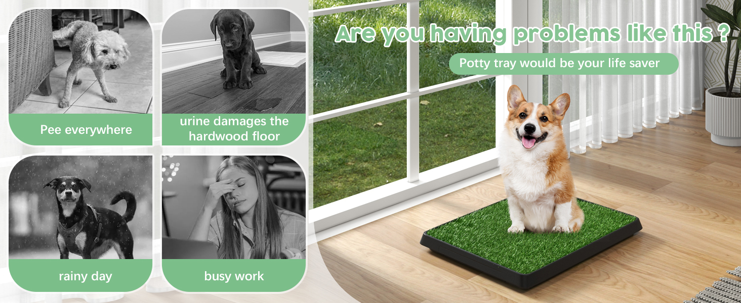 dog grass pad with tray