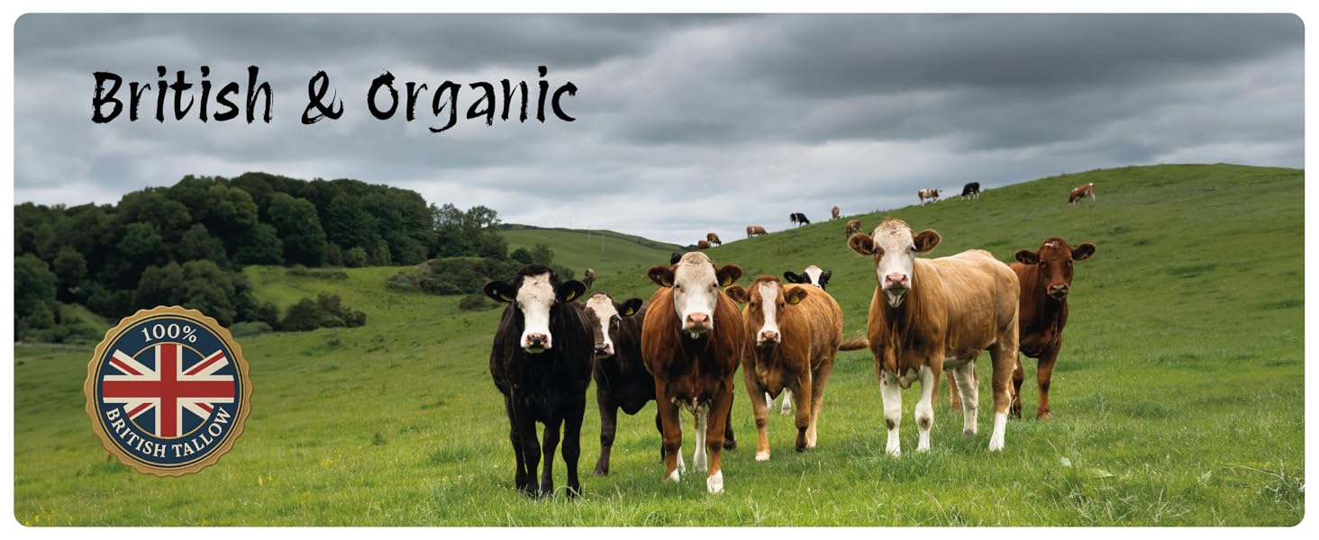 Large manufacture image 2