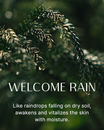 ボディケア ESTUFA WELCOME RAIN BODY CLEANSER 300ML Amazon.com : ESTUFA Welcome Rain Body Cleanser – Korean