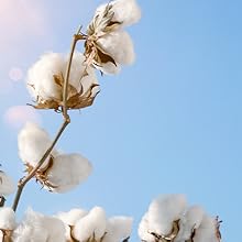 El algodón bio en tu piel