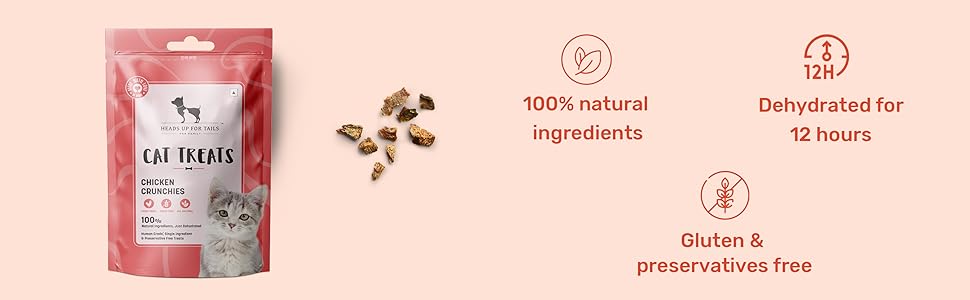 kitten food 2-12 months,wet cat food,cat food,wet food for cats,persian cat food,cat dry food