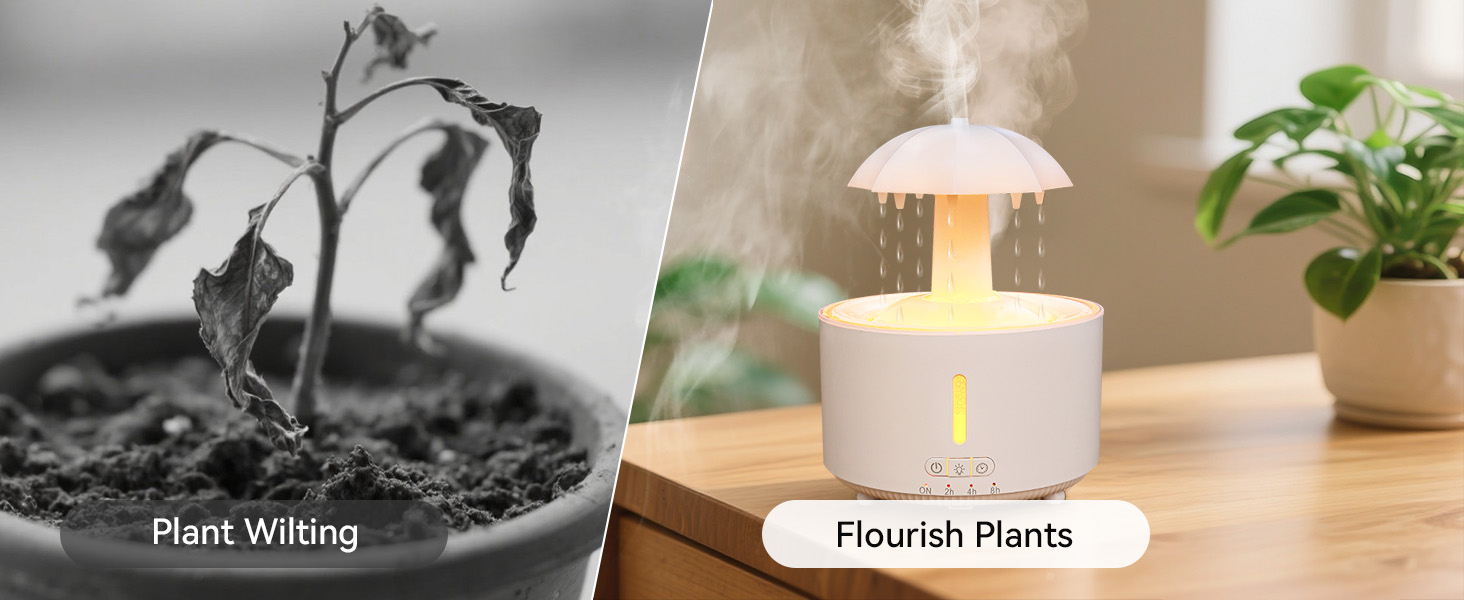 Flourish Plants
