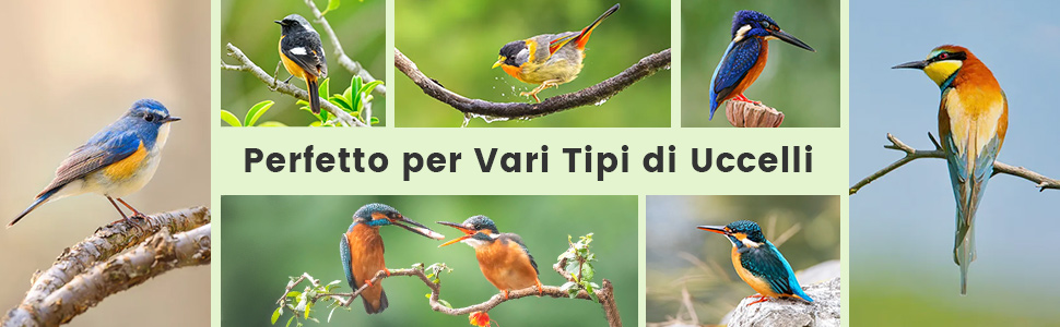 gli uccelli del mondo