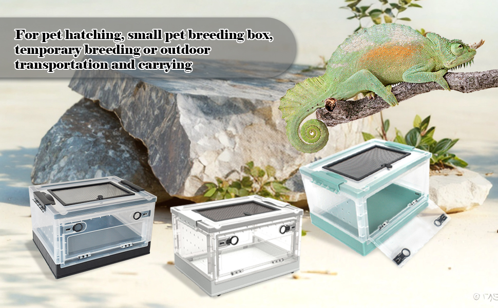 Reptile Feeding Box Snake Breeding Box