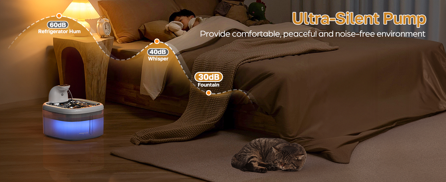 water fountains for cats indoor