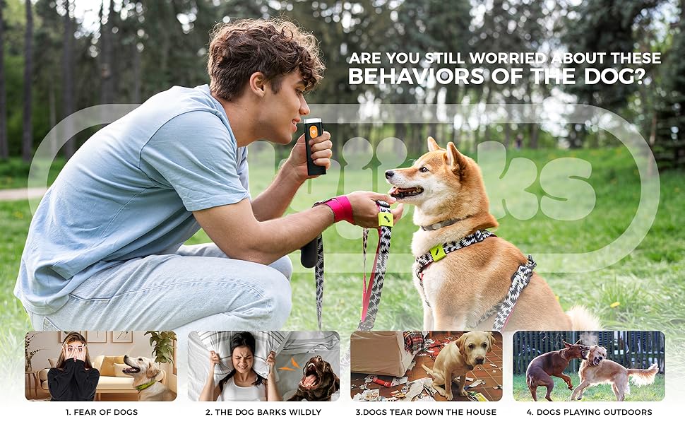 Dog Bark Deterrent Device