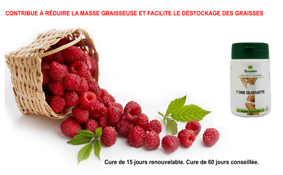 charbon végétal,laxatif,constipation,draineur,nopal,coupe faim,konjac,ceinture abdominale