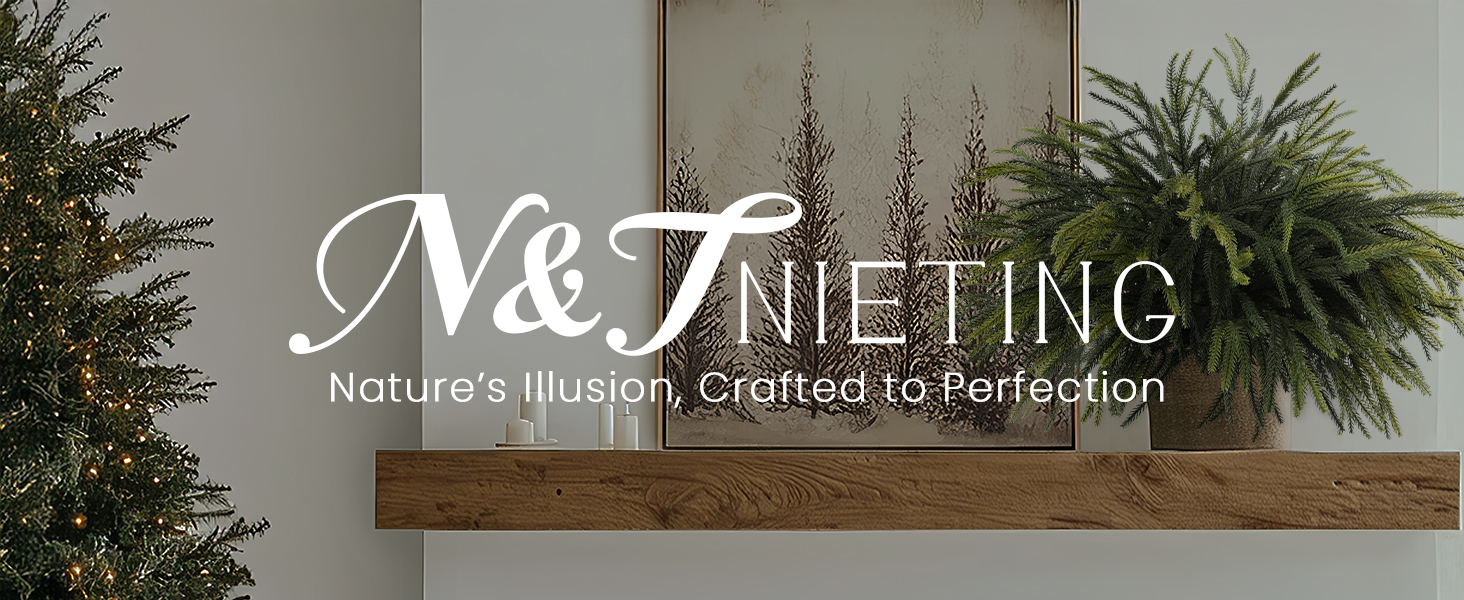 Christmas norfolk pine stems for mantel