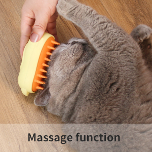 cat steam brush