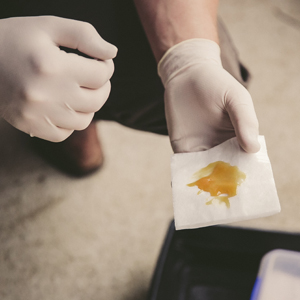 Small manufacture image 1