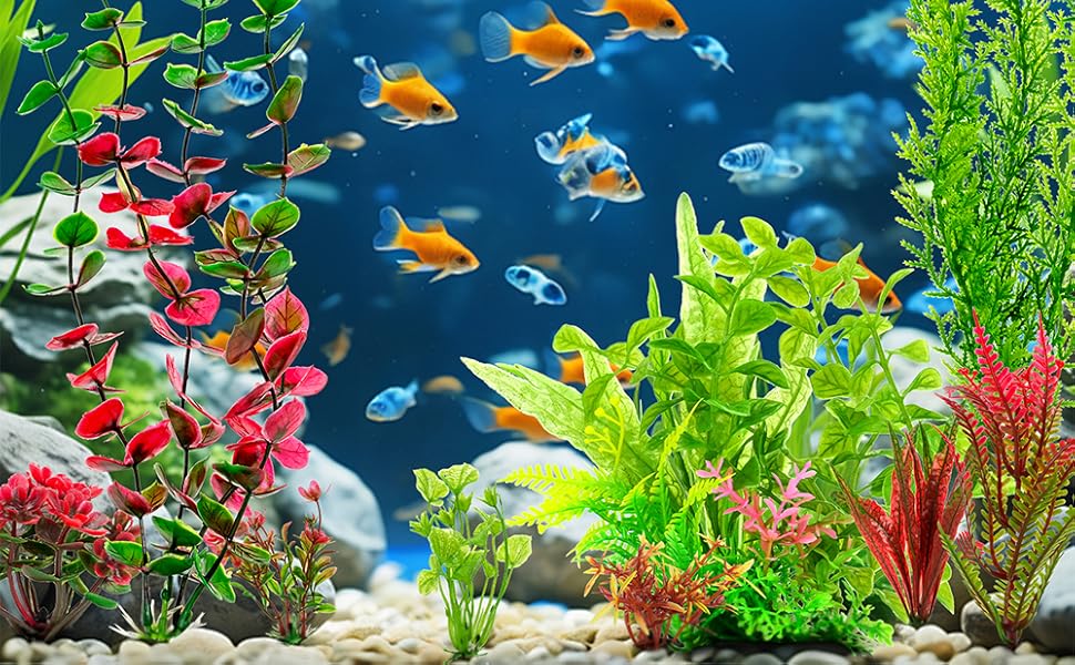 Vibrant Underwater Oasis