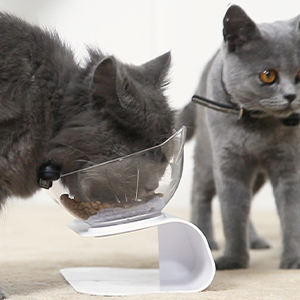 Cat Bowls with Stand Tilted 15° - Raised Cat food bowl with scoop, Anti over-turned and Anti spill Tilted Cat Bowl, Feeding and Water Supplies for Cat 18 cat bowls
