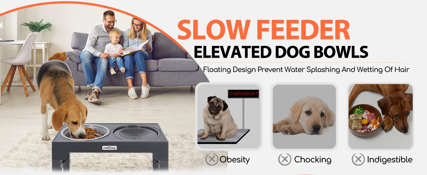 Anuncio de producto con cuencos de alimentación elevados para perros que muestra un diseño de comedero lento con íconos que indican beneficios como la prevención de la obesidad, la alimentación más lenta y la reducción de la indigestión