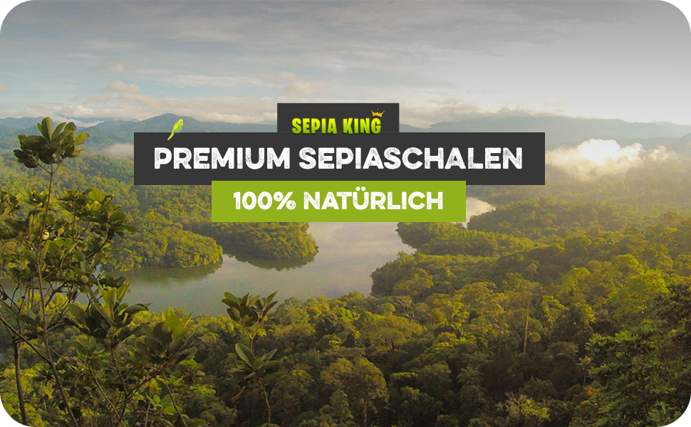 Das Beste der Welt – Gelassenheit im Dschungel