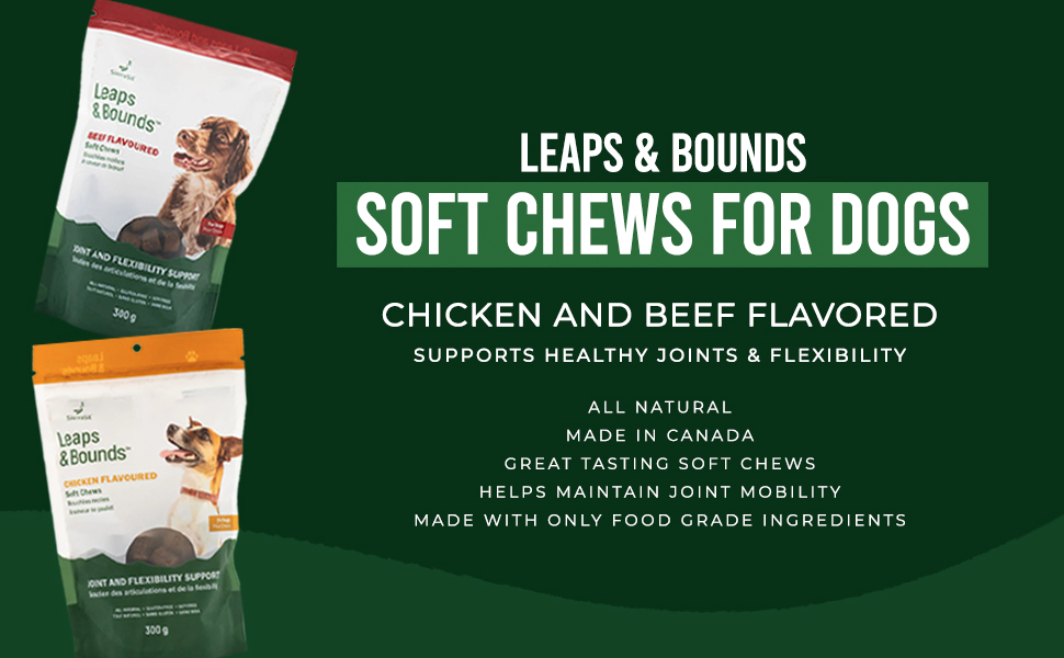 Soft Chew Treats