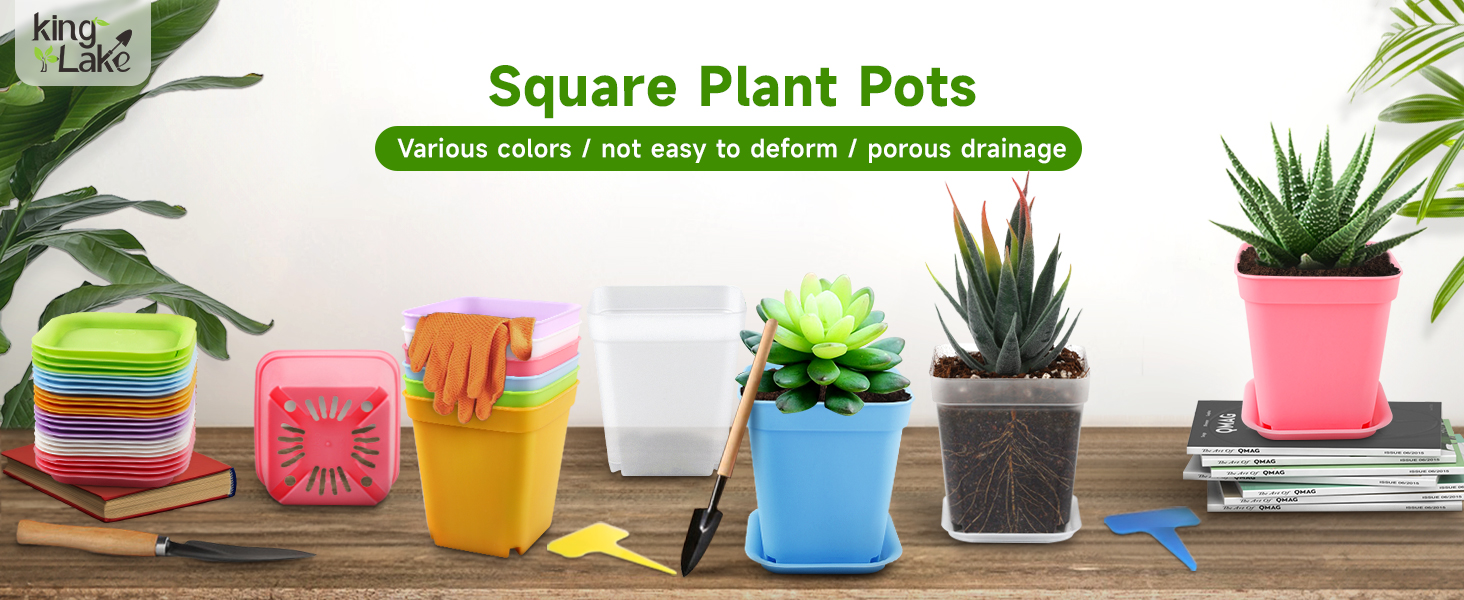 small plastic plant pots
