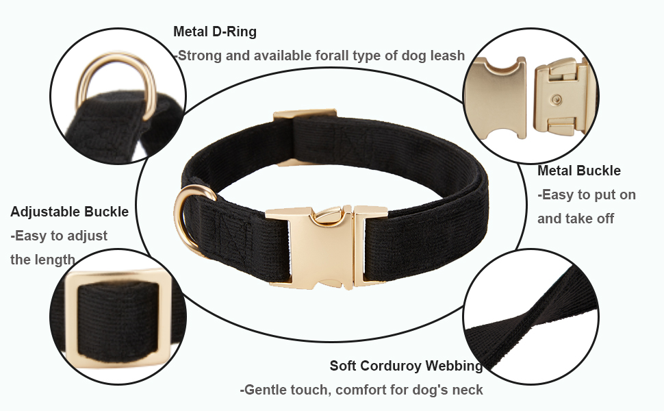 Black dog collar for small medium dogs