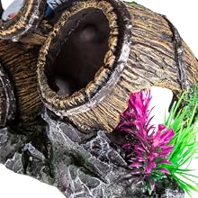 coral, corals, plants, skeleton, spiderwood, pearl, castle, cave, volcano, mermaid, shark, ships