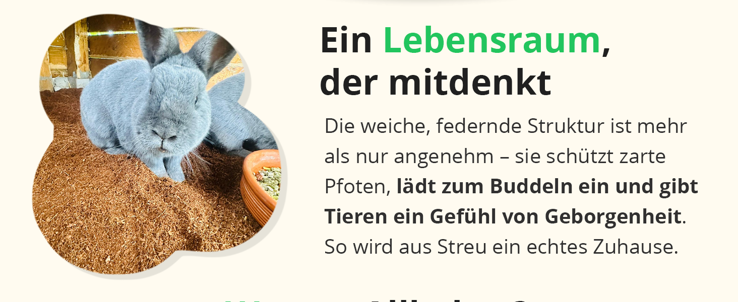 Aplus-Inhaltsbild