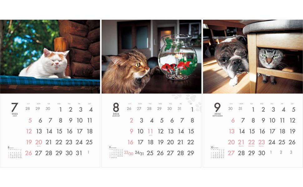カレンダー2026 MARCO's CAT CALENDAR Comical ! 保護猫チャリティーカレンダー