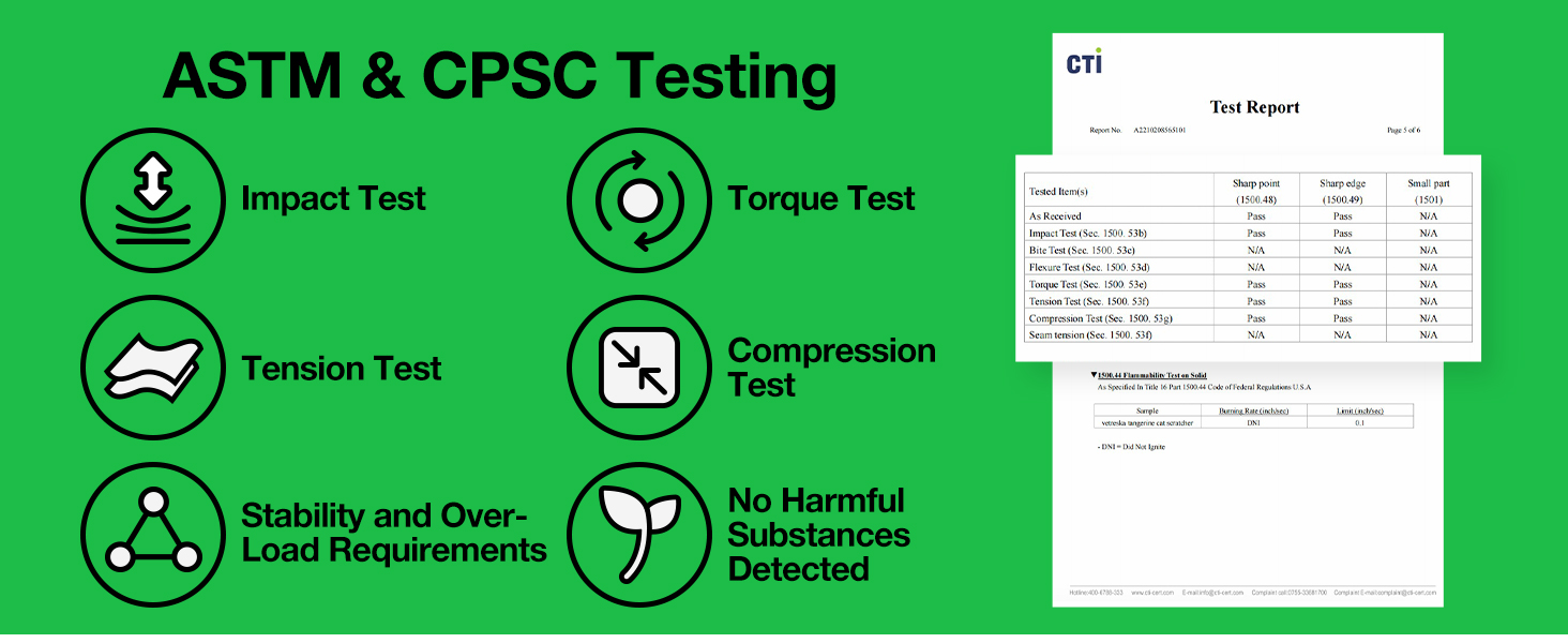 cactus flower cat post